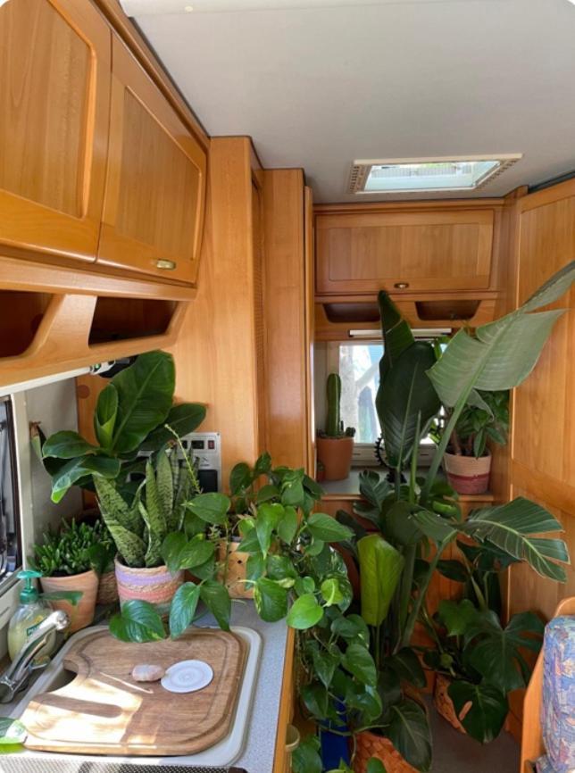 Tibetan Buddhist Jungle Camper Apartamento *