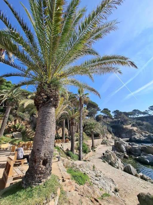 Apartment Loft, Lloret de Mar