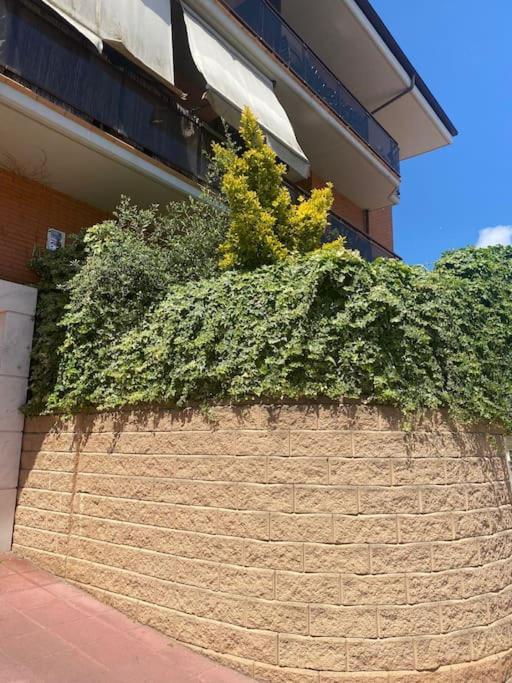 Loft, Lloret de Mar