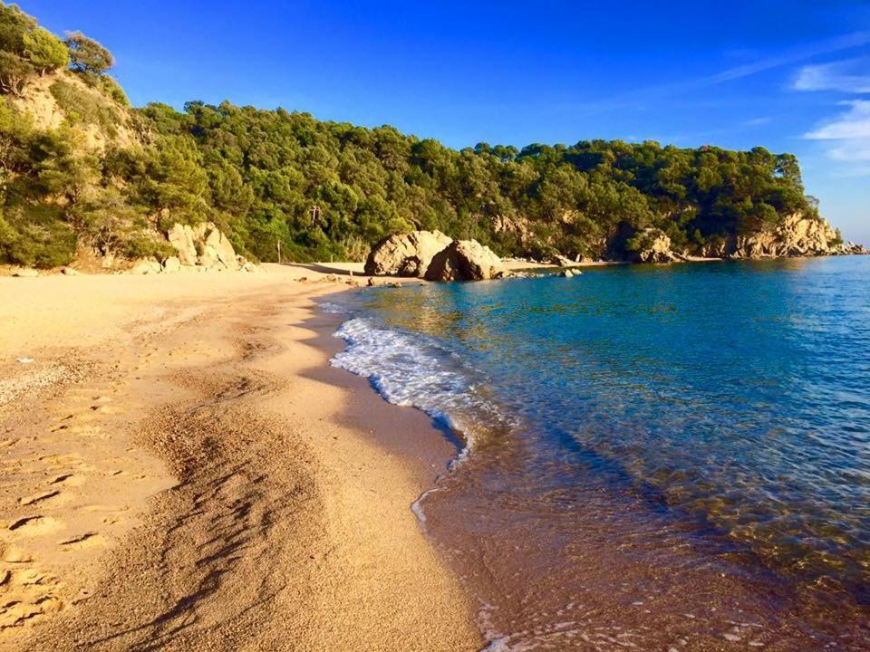 Private Cala Canyelles Apartamento *