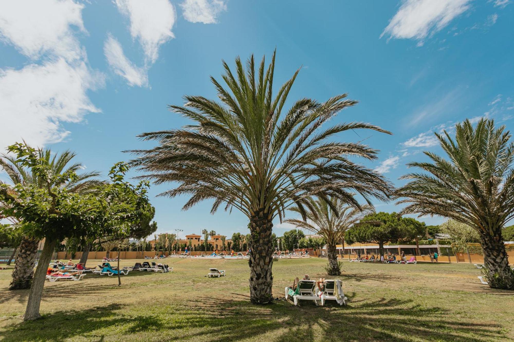 Camping & Platja Brava