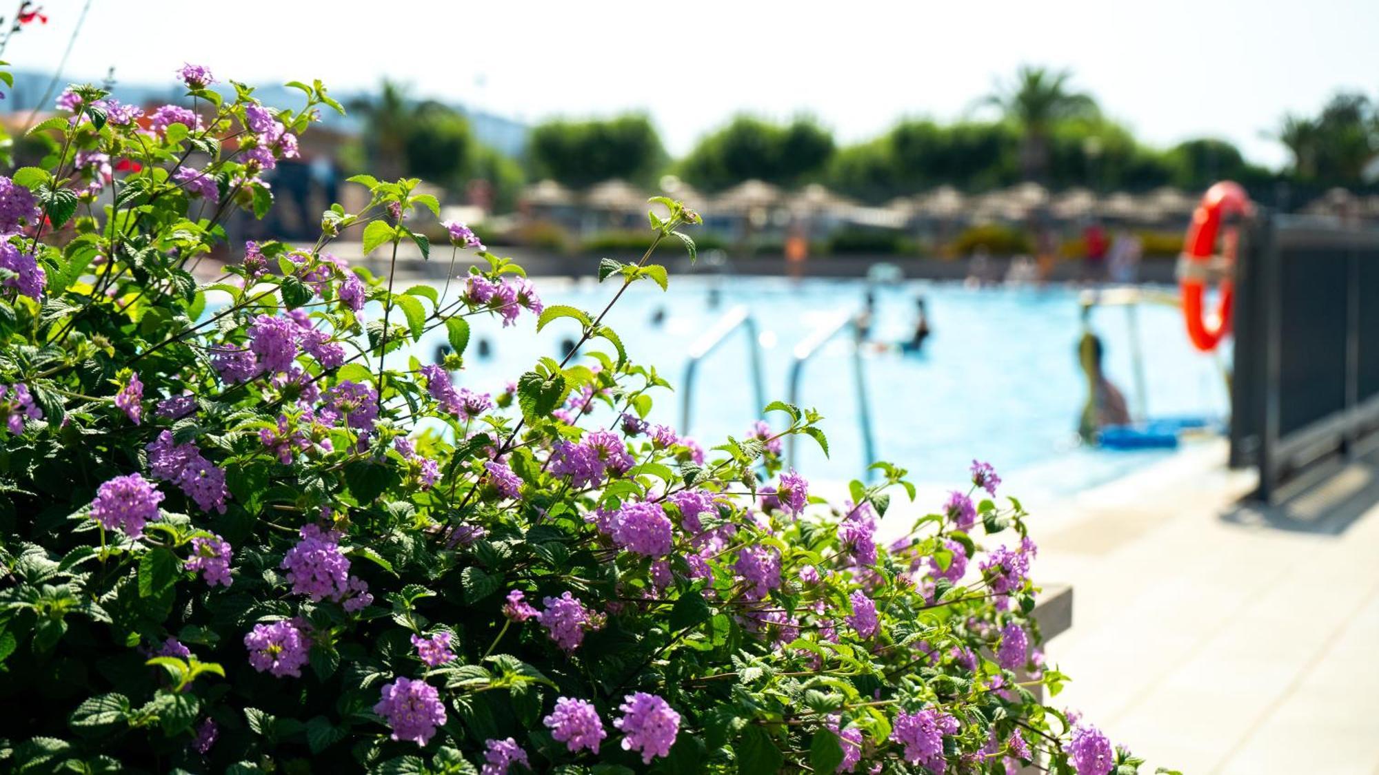 Camping Riembau Platja d'Aro (Playa de Aro)