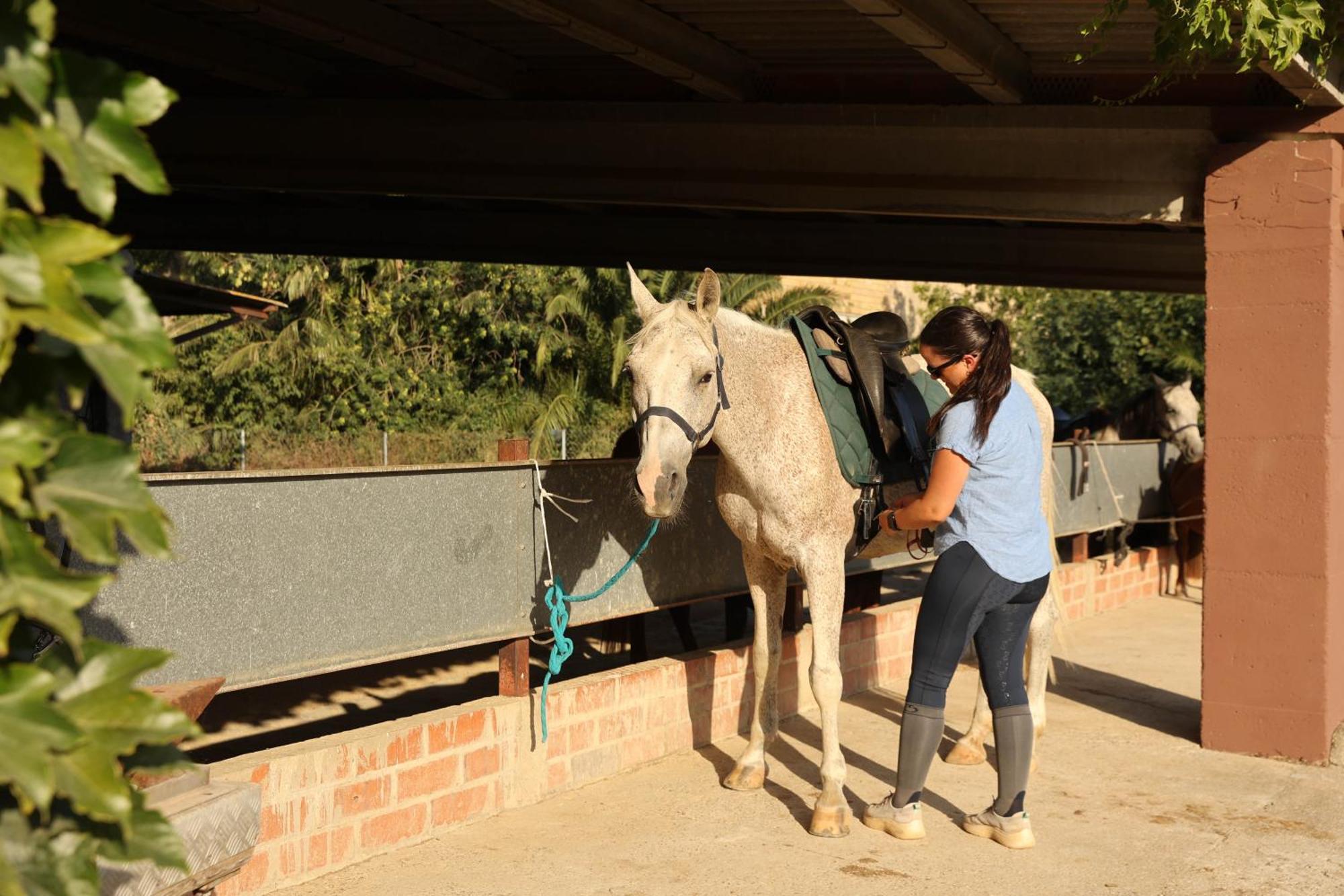 Apartment Cal Robusto, In Masia With Horses Siurana (Alt Emporda)