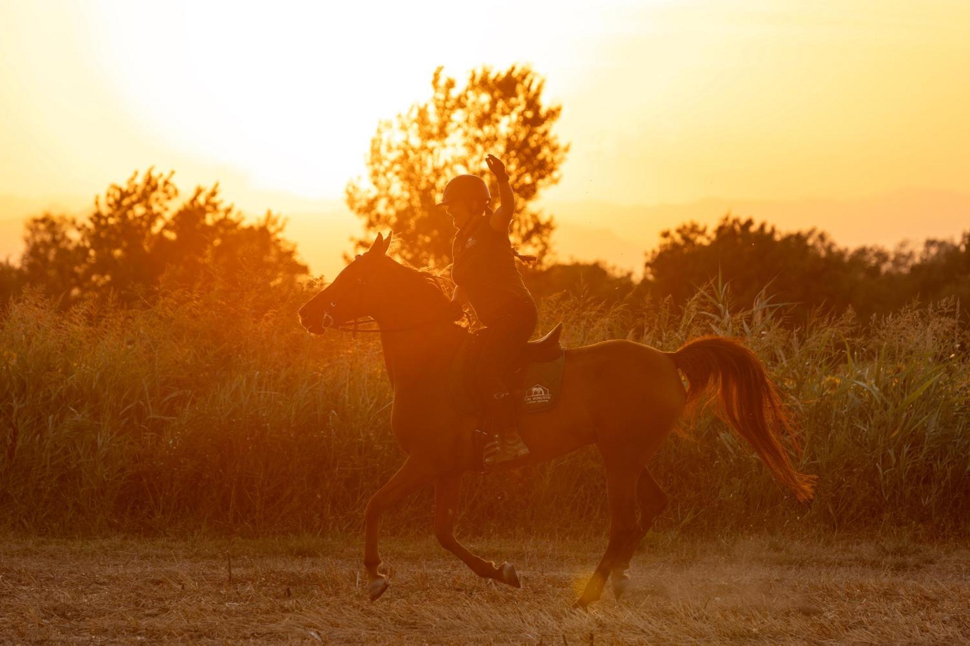 Apartment Cal Robusto, In Masia With Horses