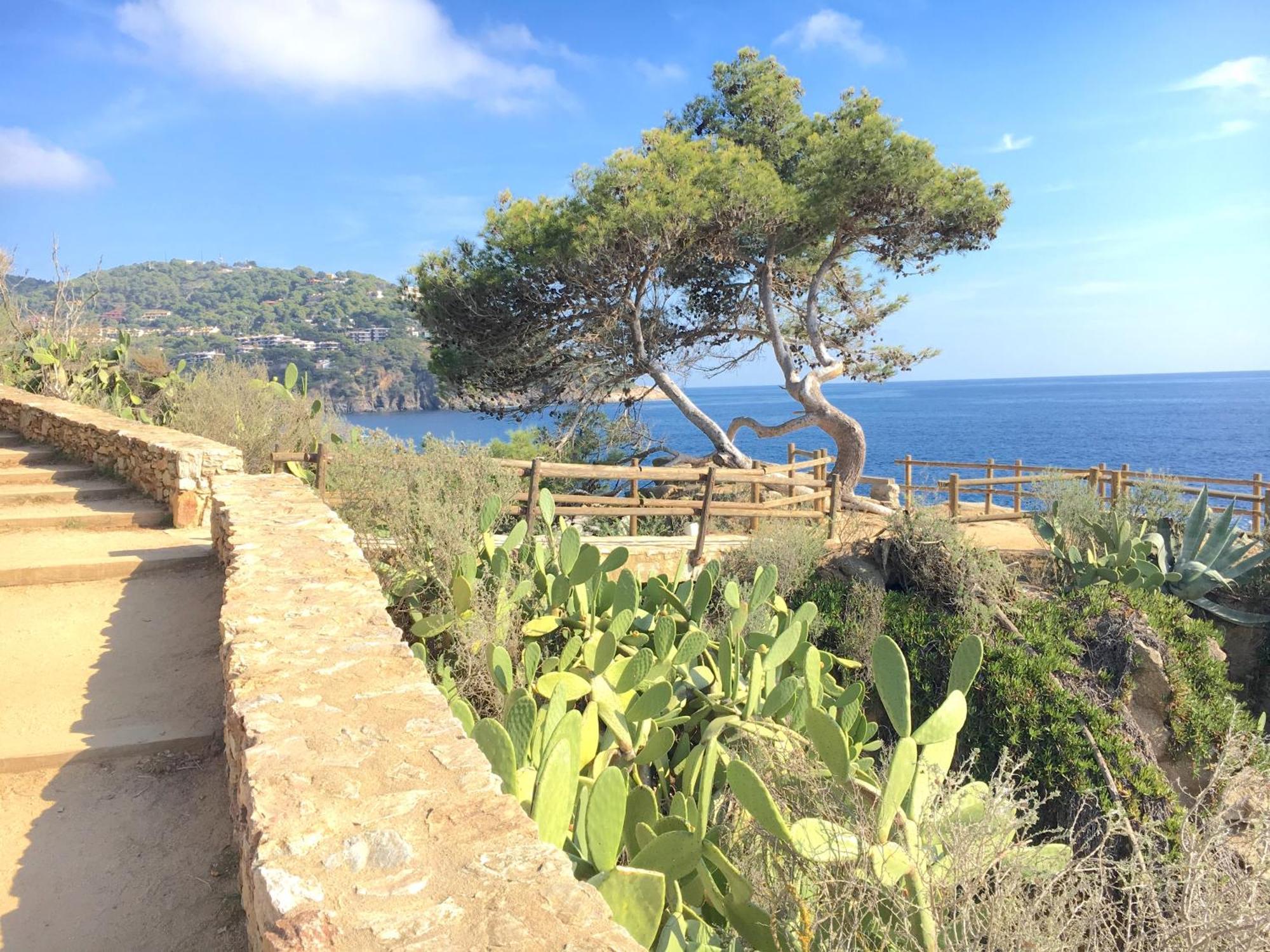 Apartment 1 Monts - Llafranc
