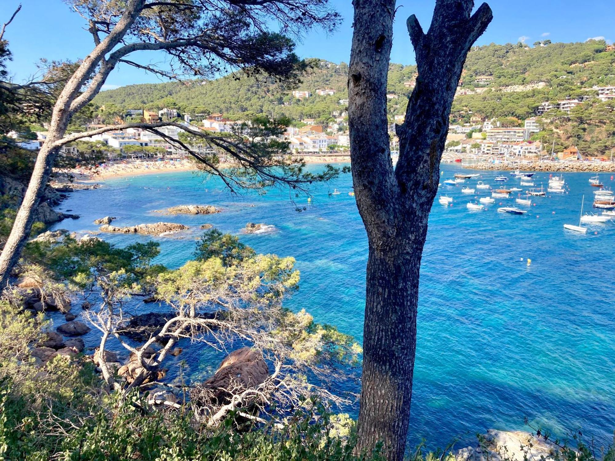 1 Monts - Apartment