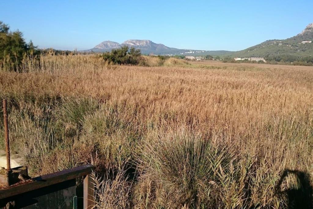 Cozy, Sunny And Close To The * L'Estartit