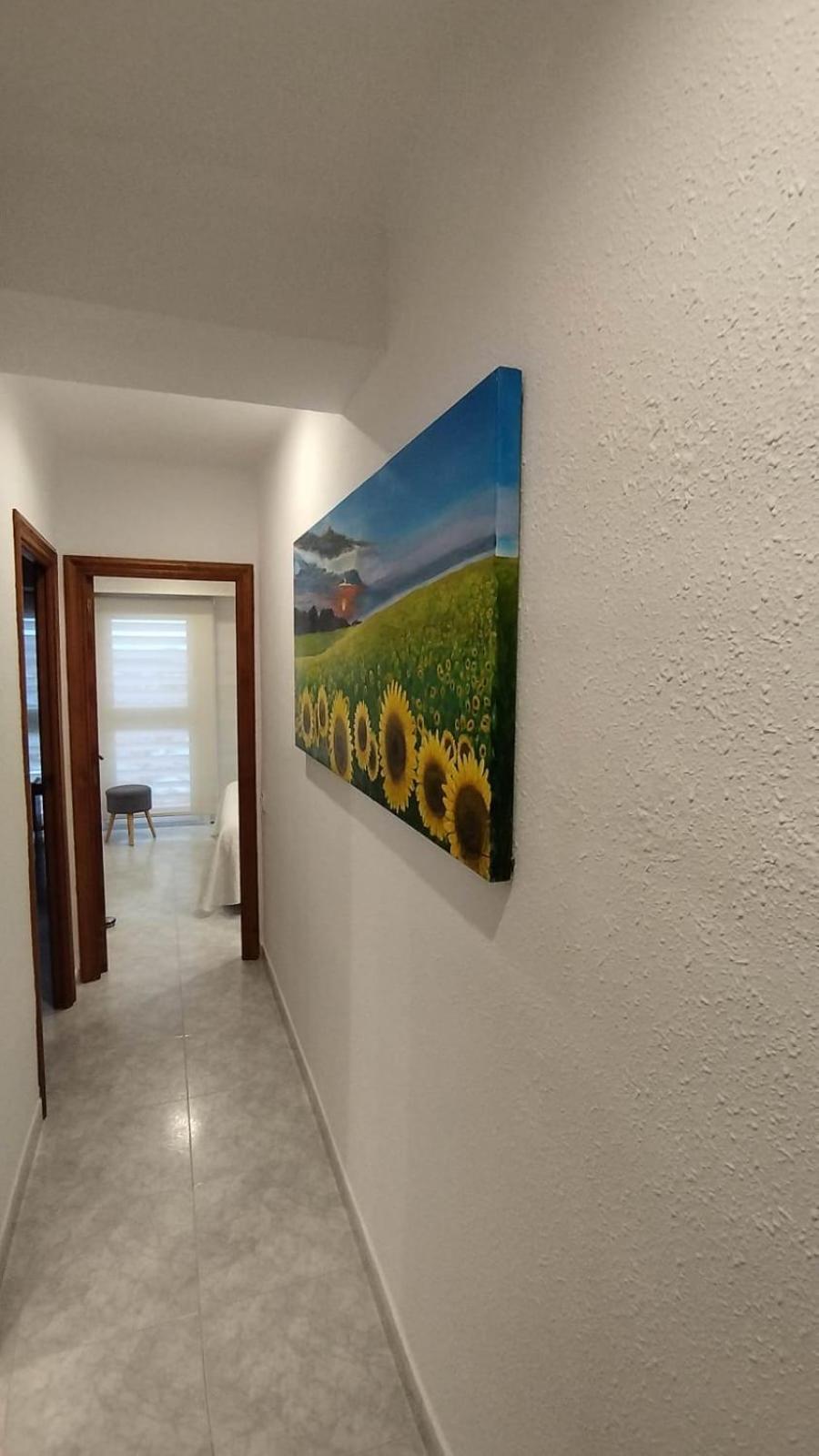 Apartment Jaume Ii *