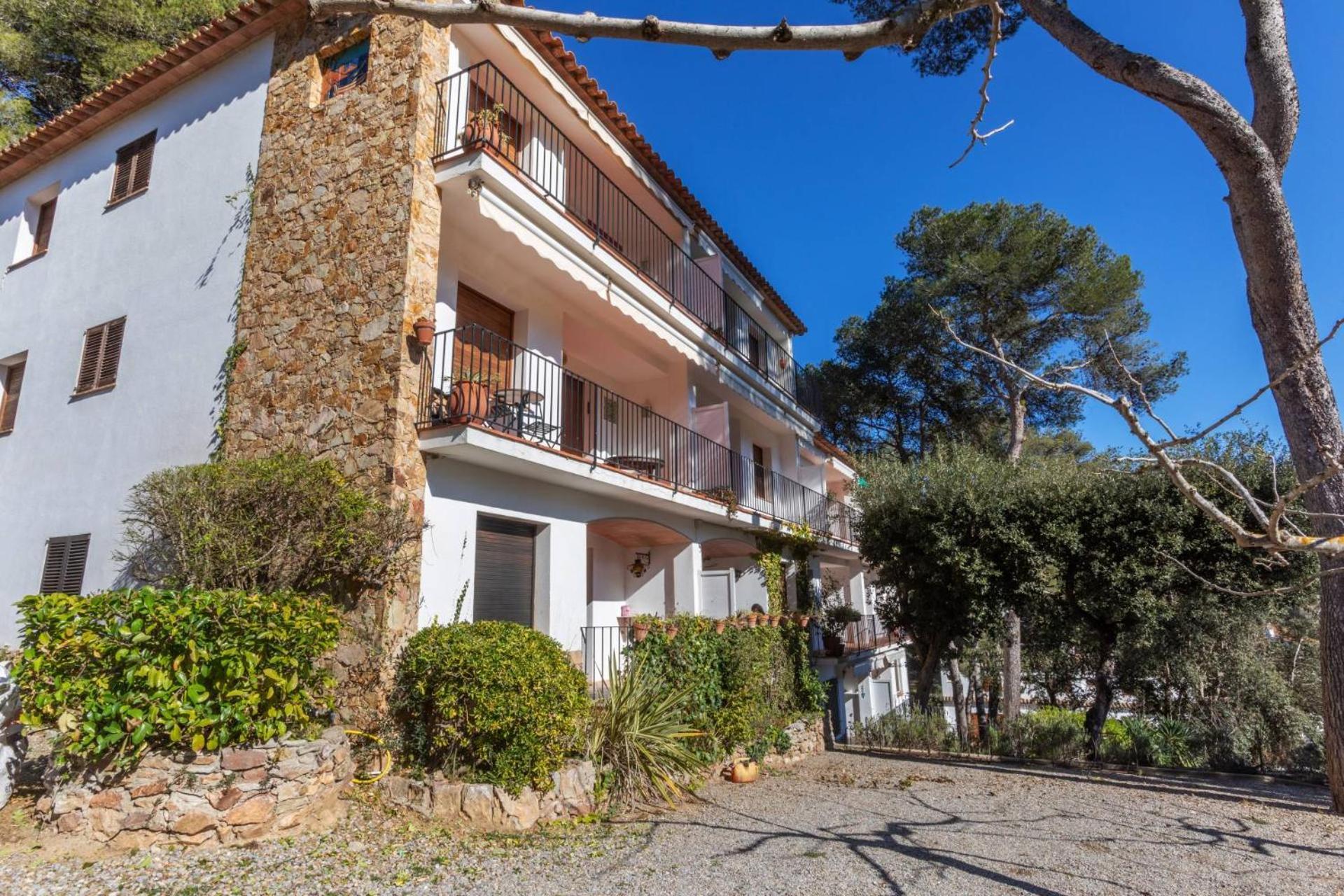 Apartamento Puig Grui 1