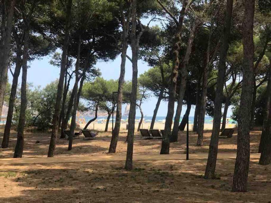 A L'estartit X 4 Torroella De Montgri