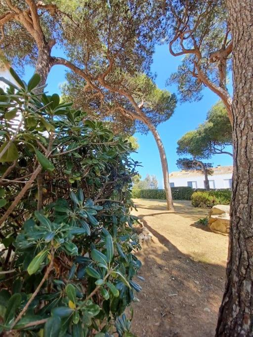 Apartamento Roc Mar
