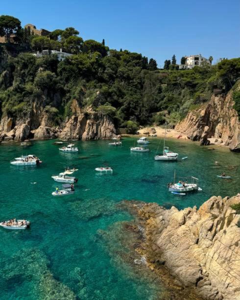 Apartment Penthouse Blanes