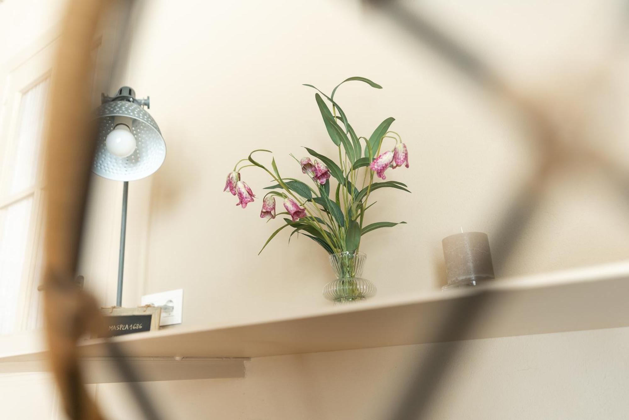 Mas Pla Bed and breakfast Riudellots de la Selva