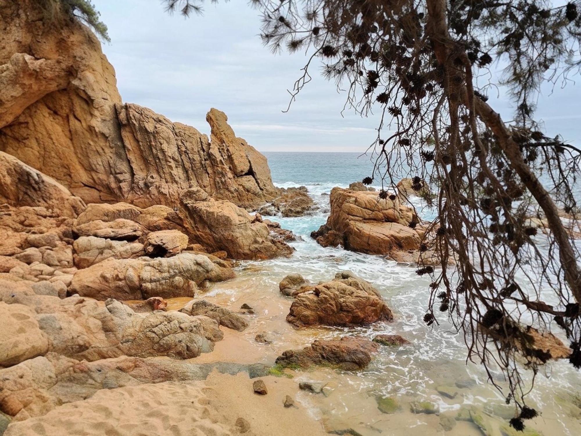 ático Con Vistas Al Mar A Un Paso Del Centro * Blanes