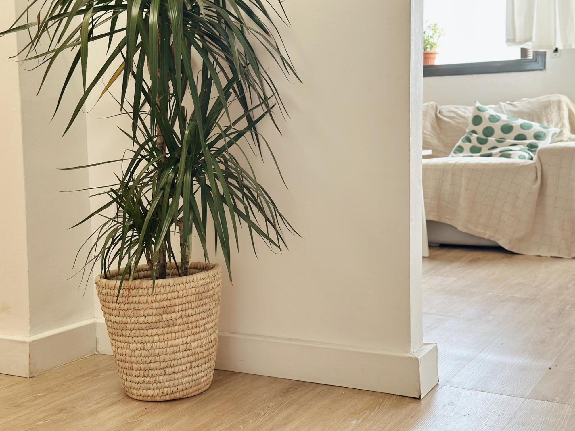 Apartamento ático Con Vistas Al Mar A Un Paso Del Centro Blanes