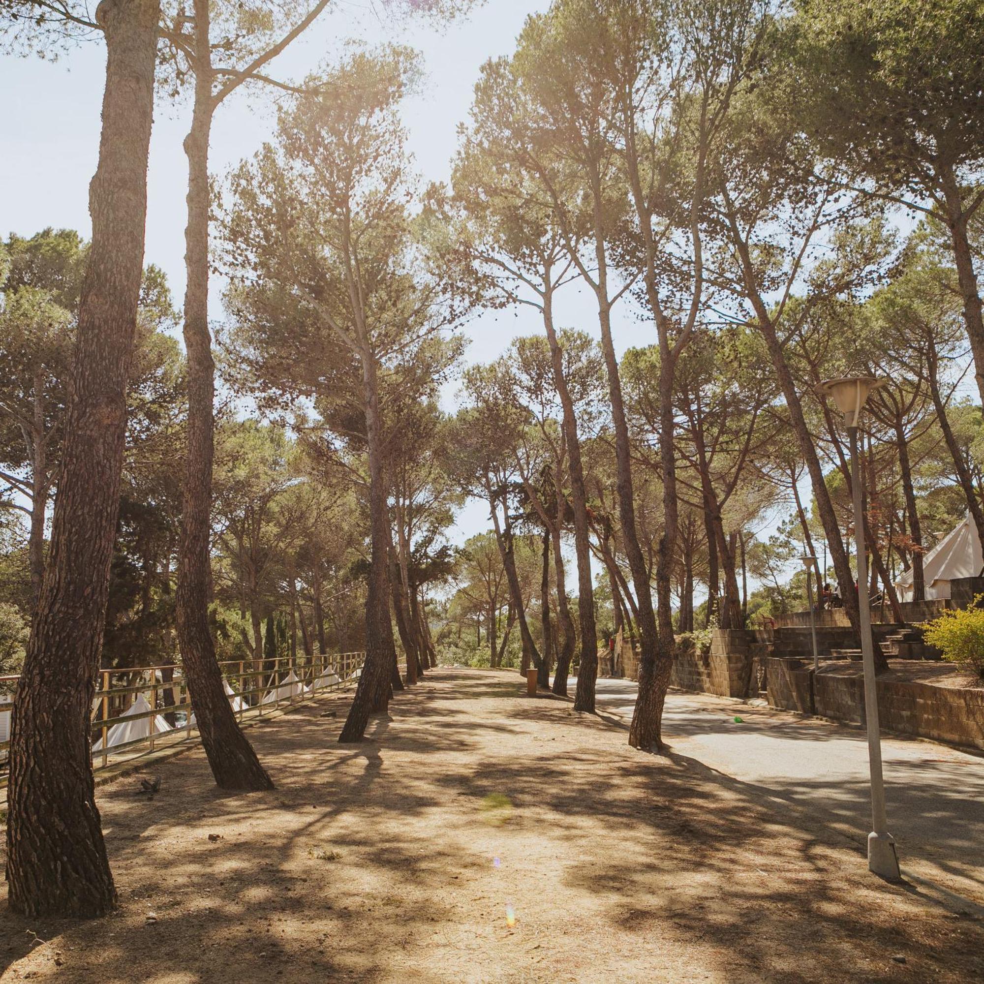 Campsite Santa Elena