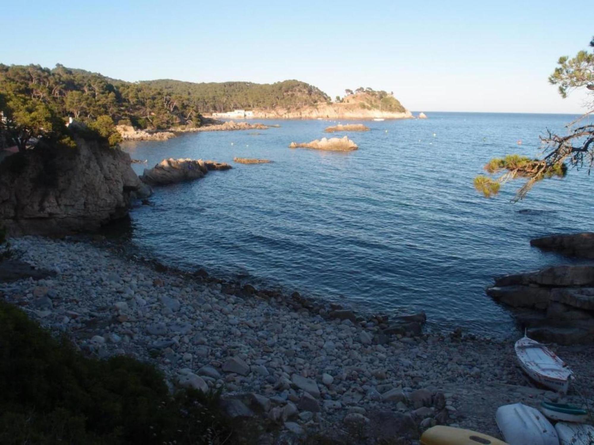 Tent On A Park, Just 2 5 Km From The Fornells (Catalonia)
