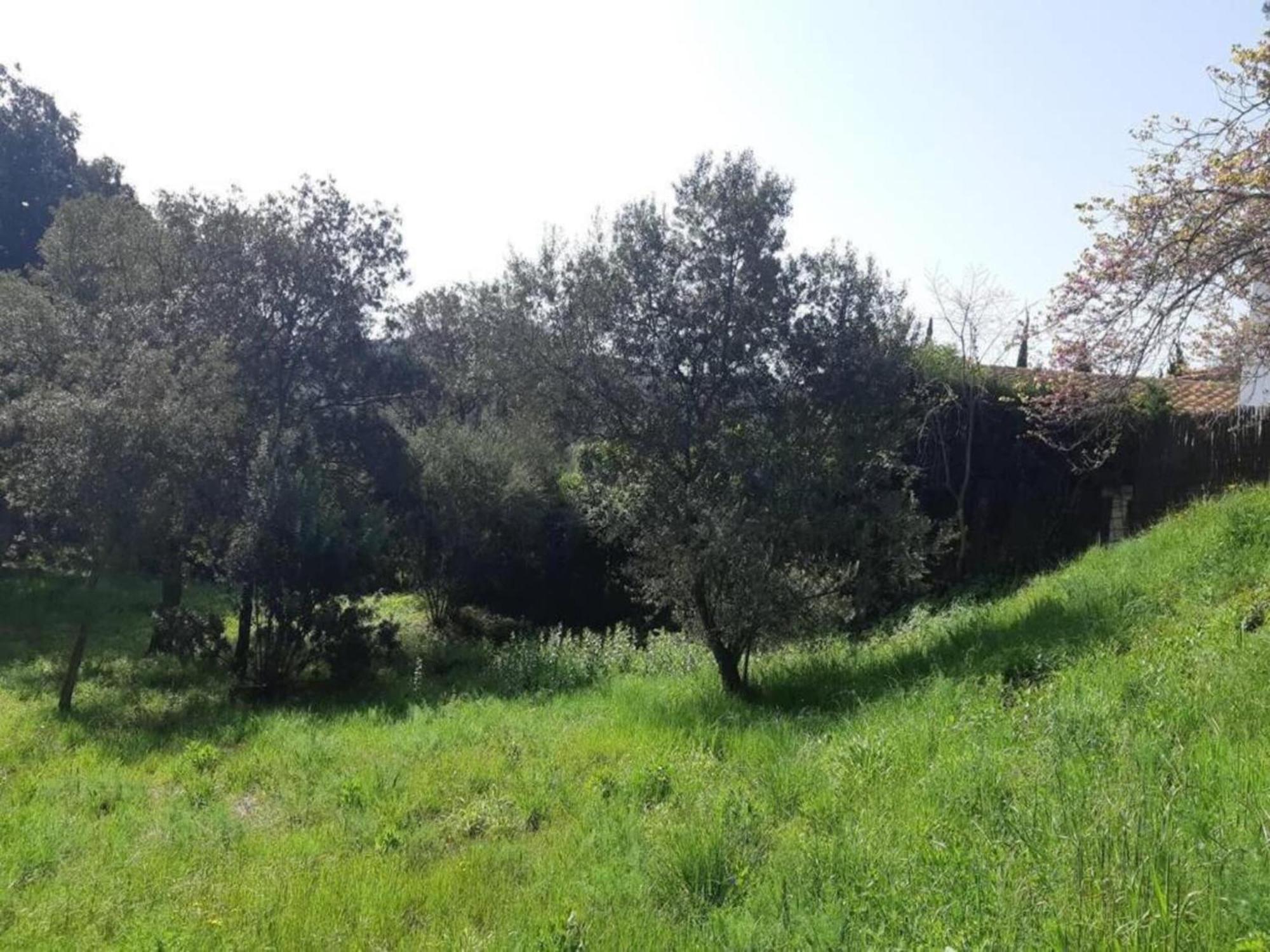 Tent On A Park, Just 2 5 Km From The * Fornells (Catalonia)