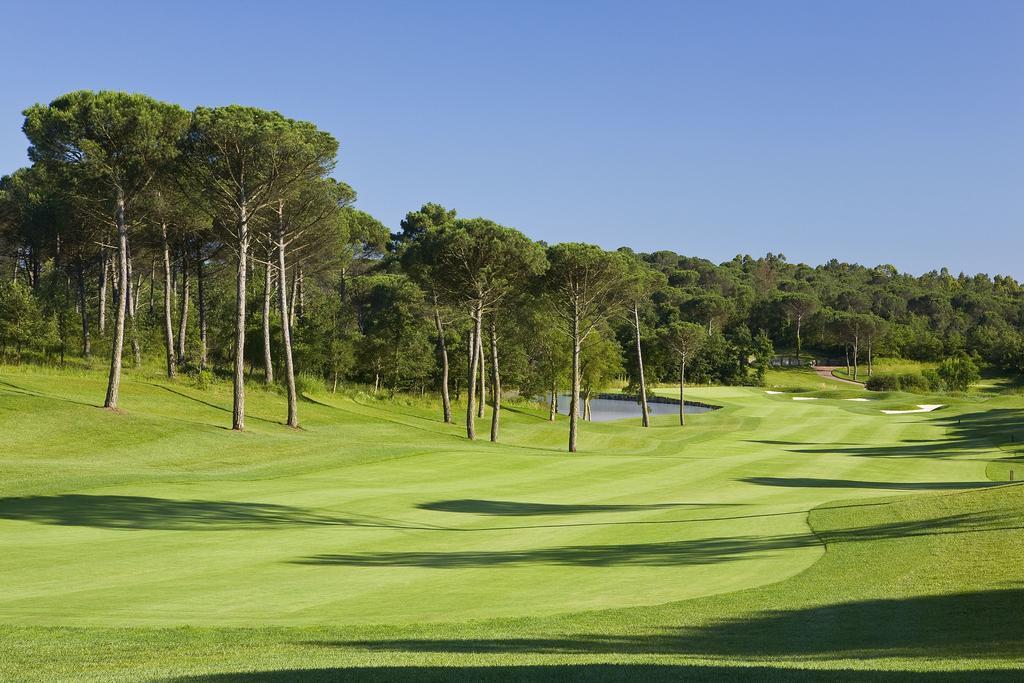 Camiral - The Leading Of The World 5*