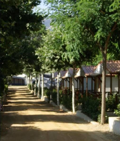 Camping D'aro Campsite Platja d'Aro