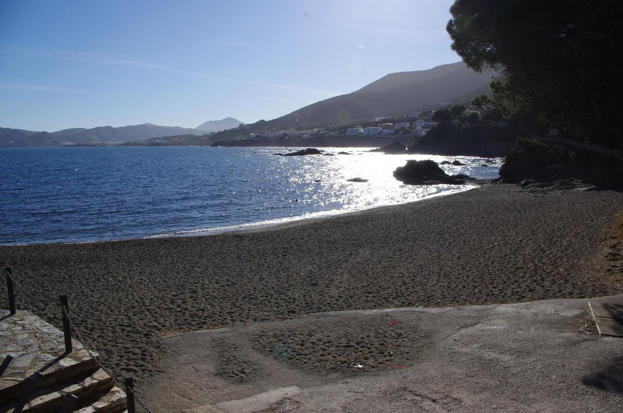 Falcó * Llançà