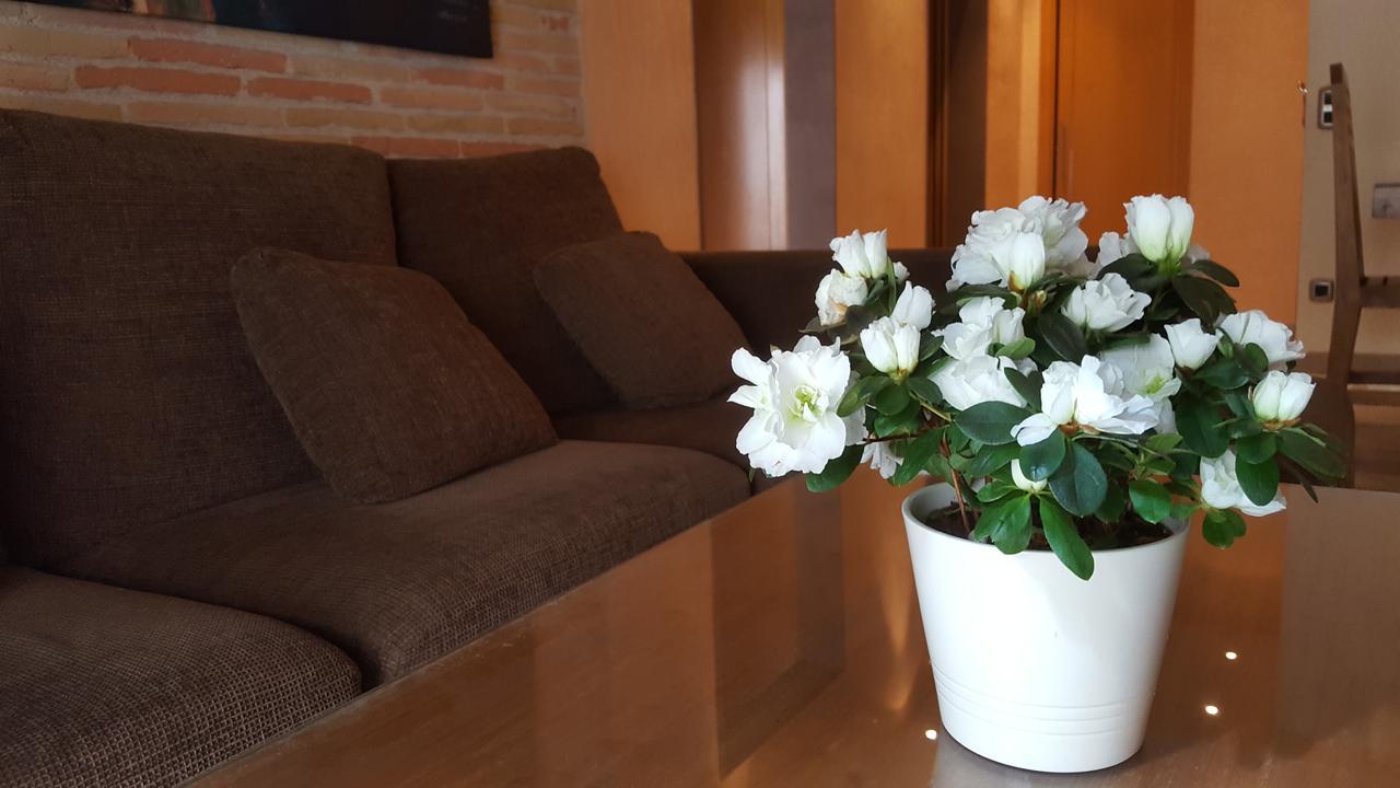 Apartamento Sleepin *