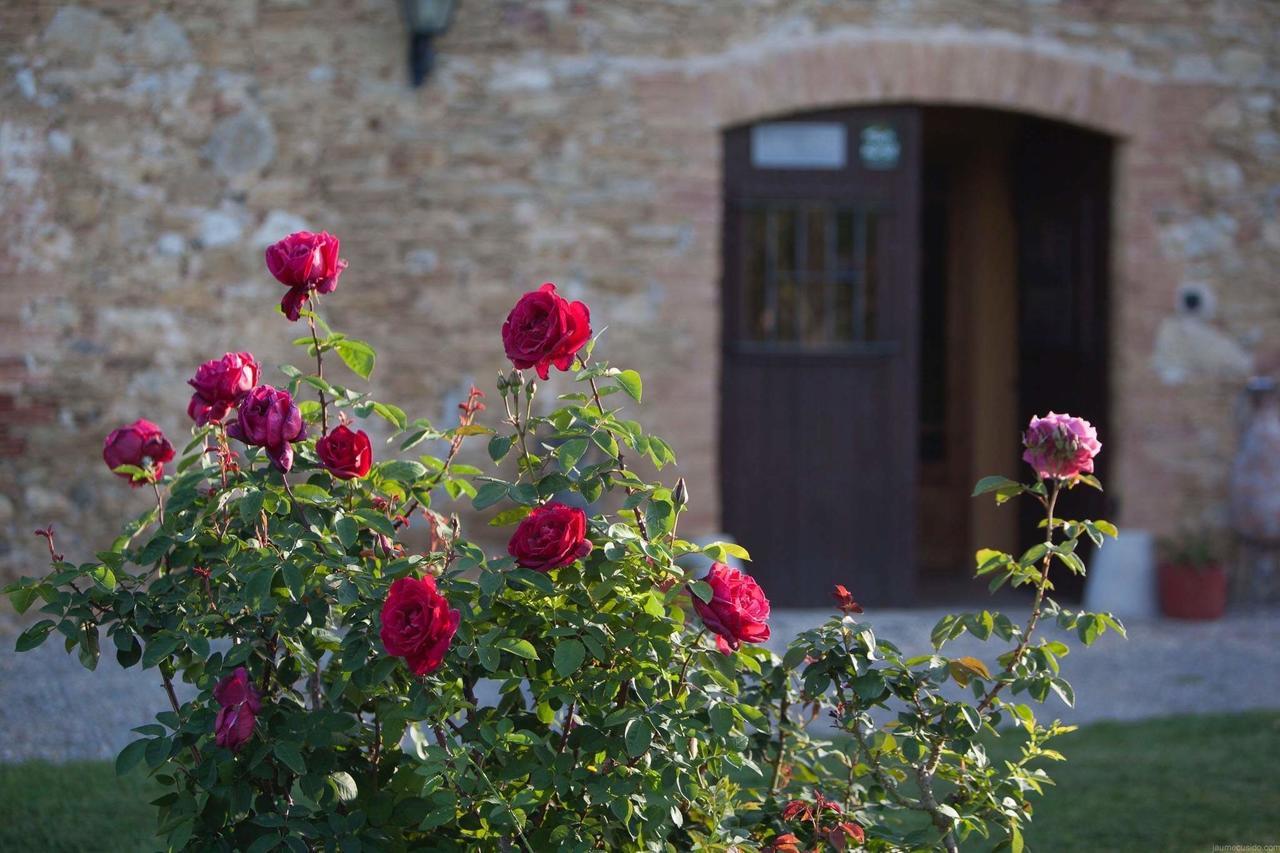 Mas Rabiol -costa Brava-emporda-only Adults 3* Peratallada