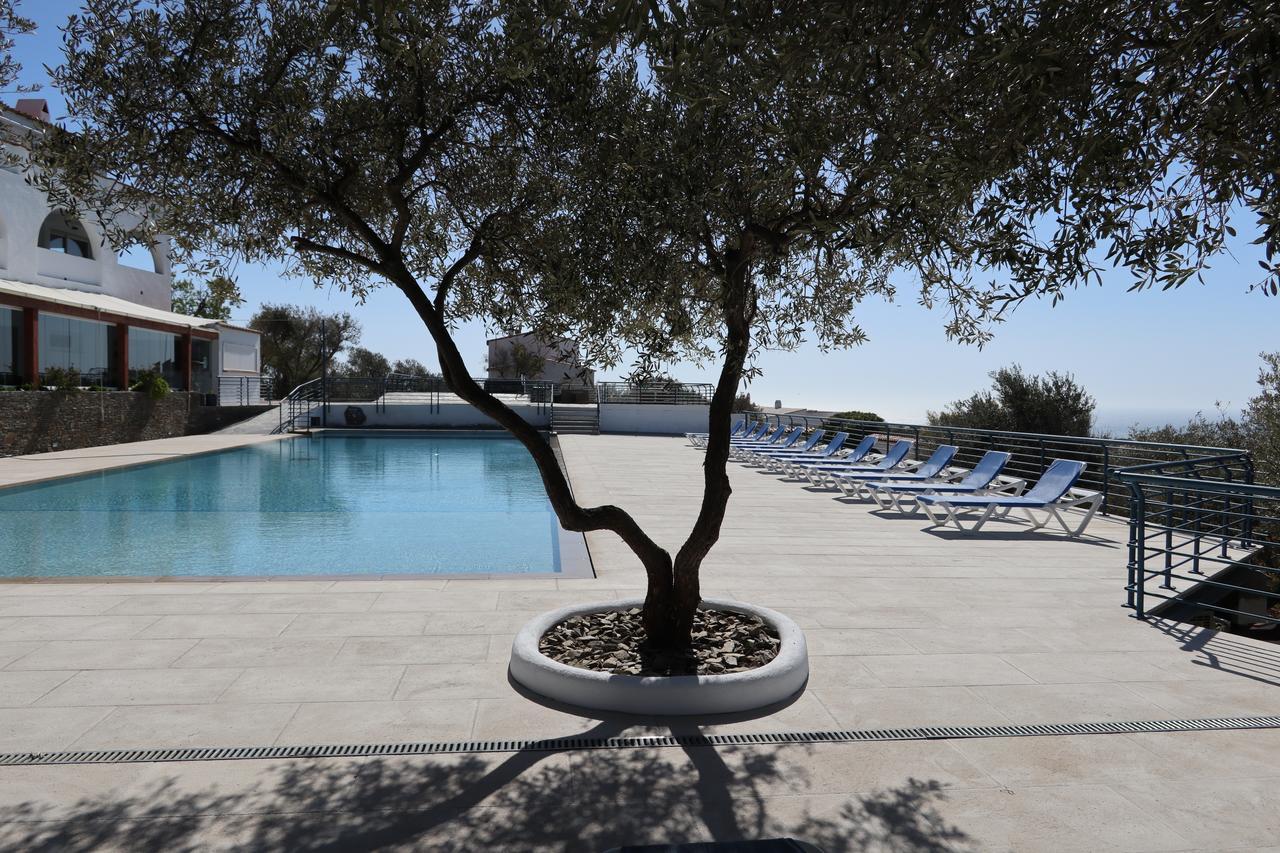 Apartahotel Carpe Diem 2*