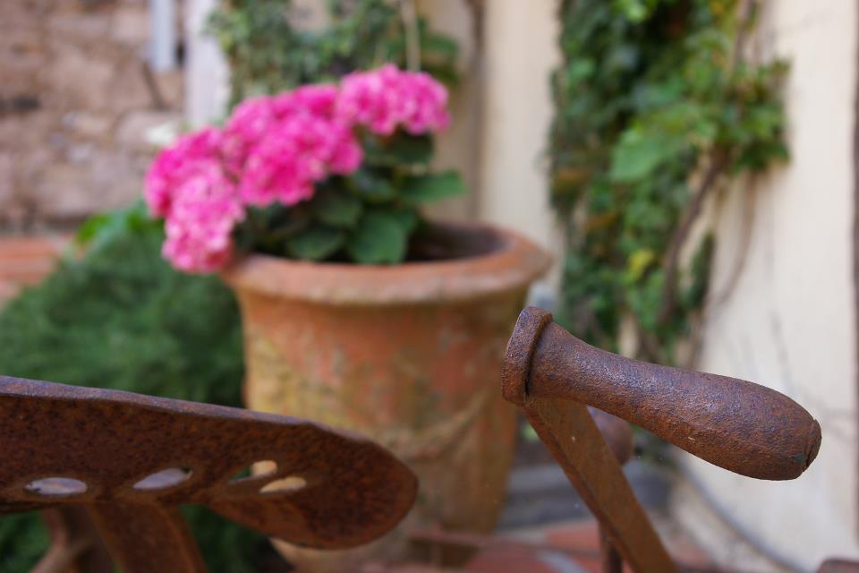 Ceret