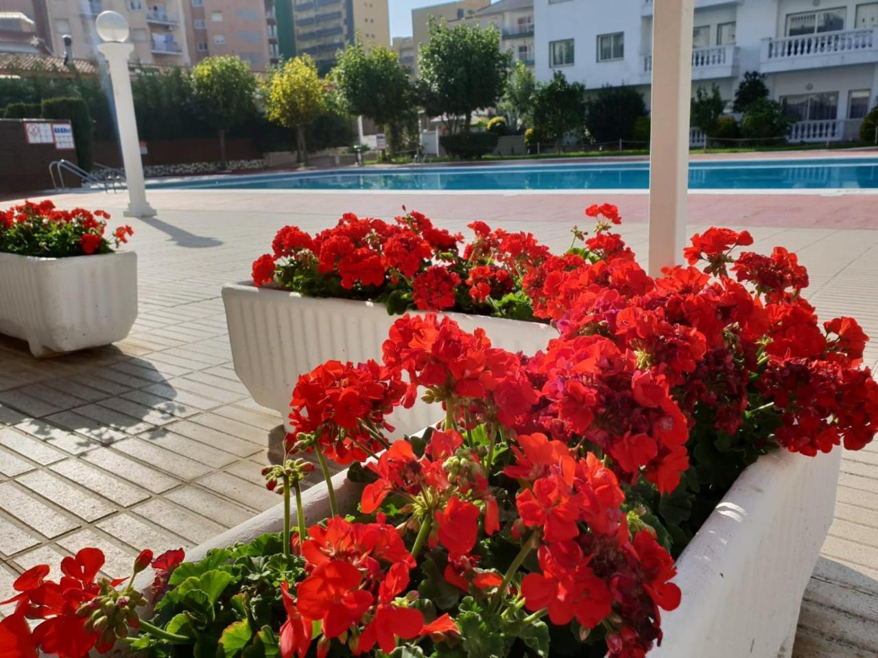 Apartamento Europa Family Blanes