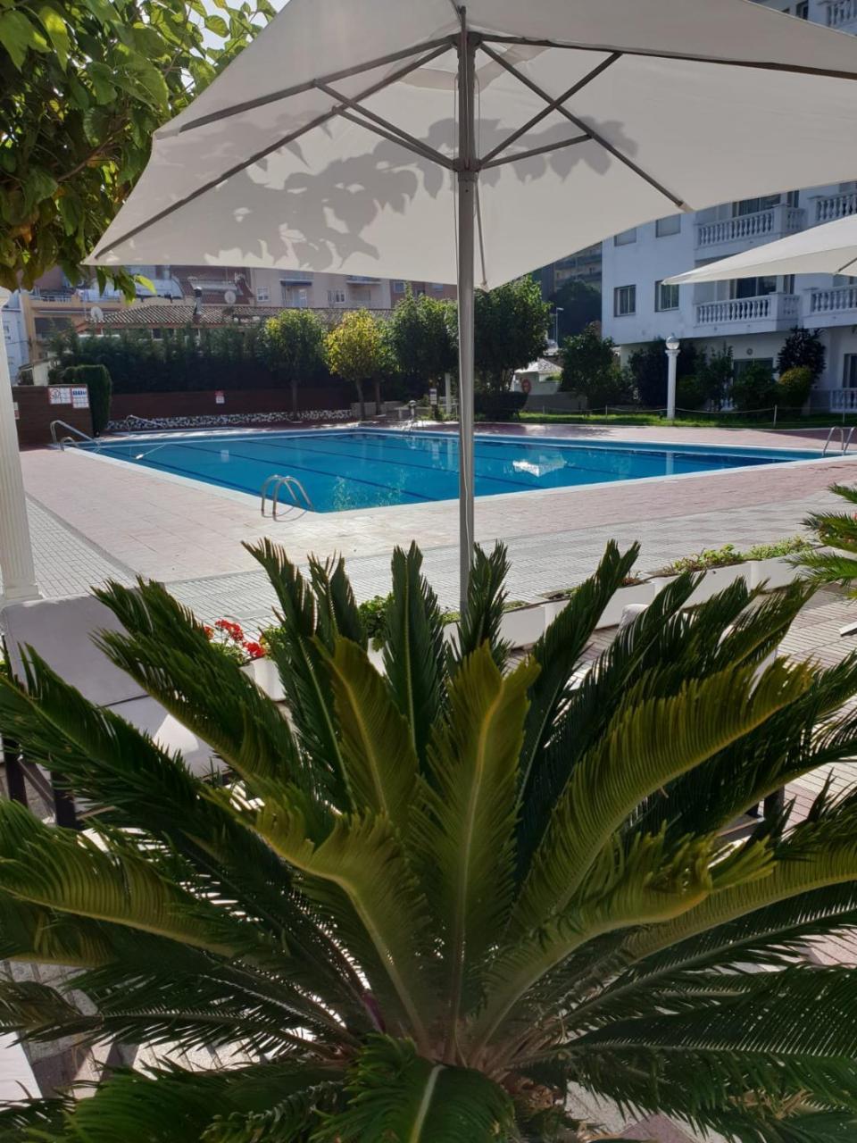 Europa Family Apartamento