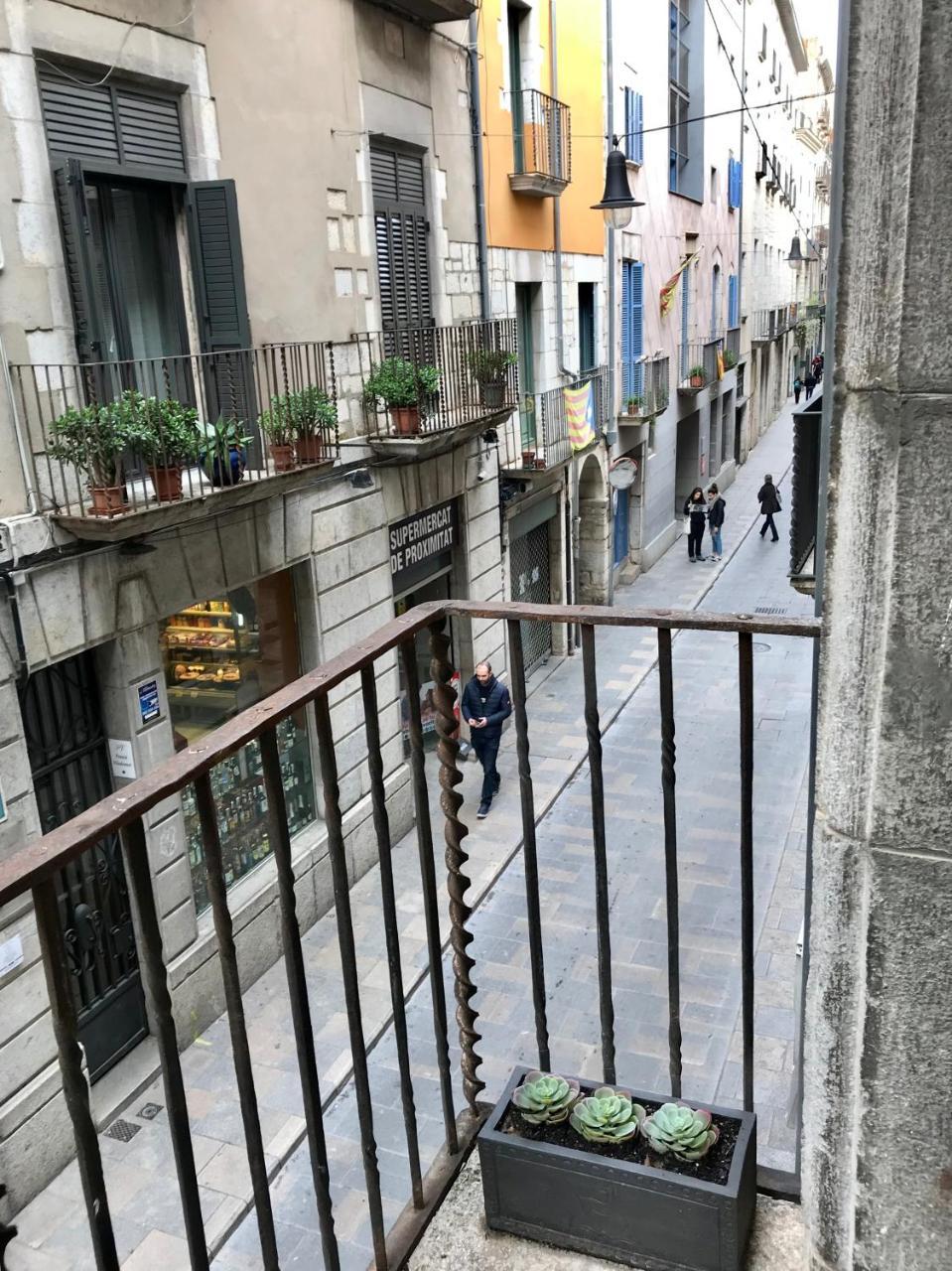 Apg Palau Salieti 1 Apartment Girona