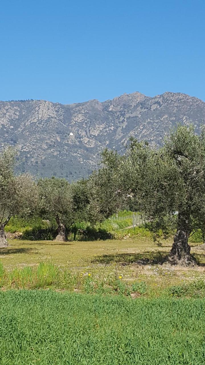 Ca La Sonia Country house Pau
