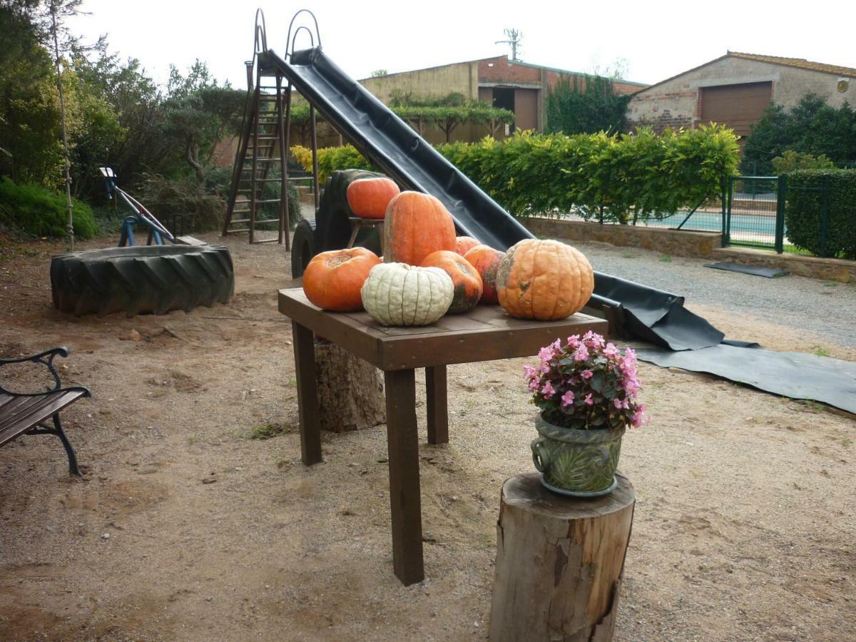 Apartment Mas Puig Roig