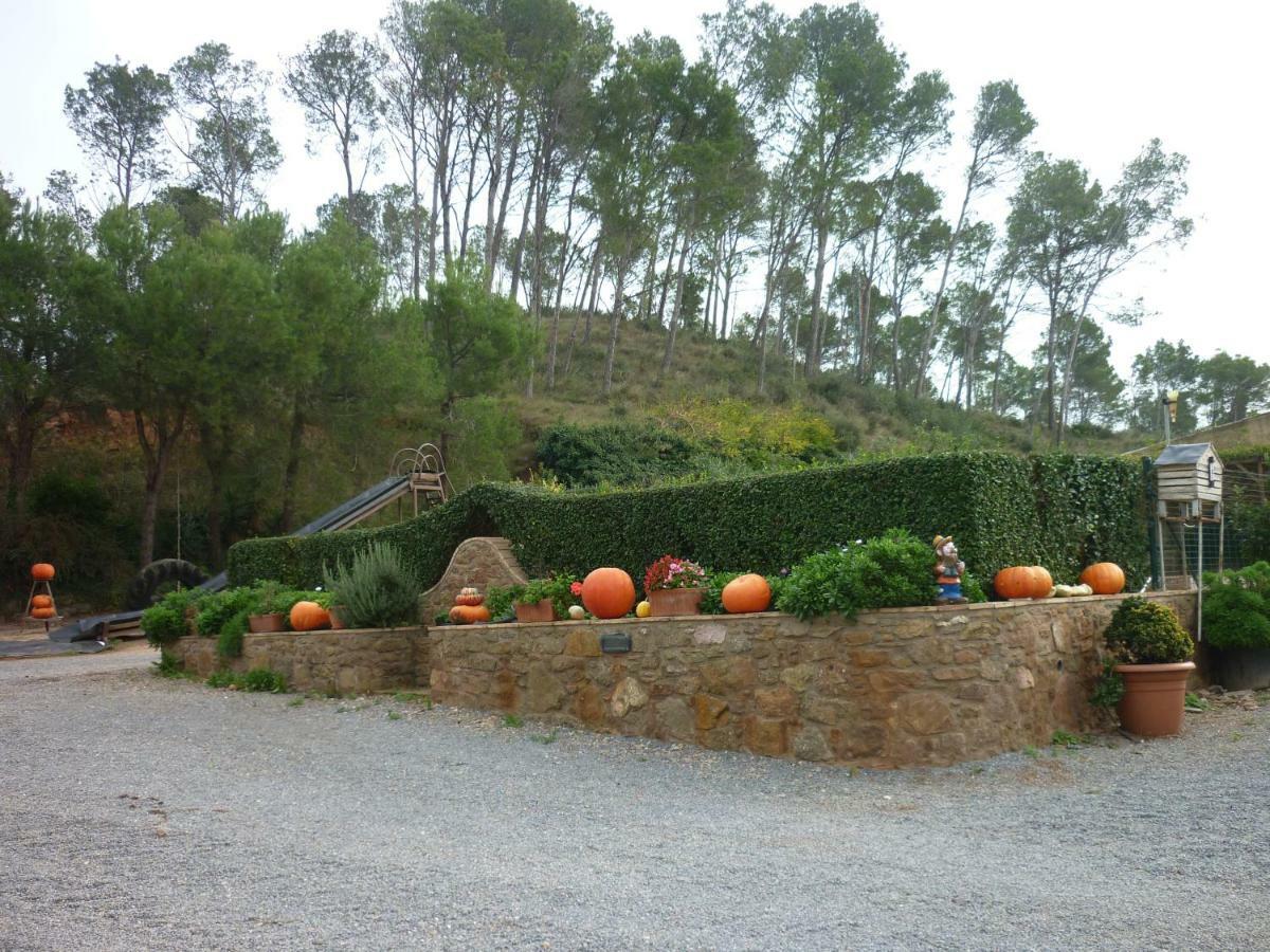 Mas Puig Roig Apartment Llavia