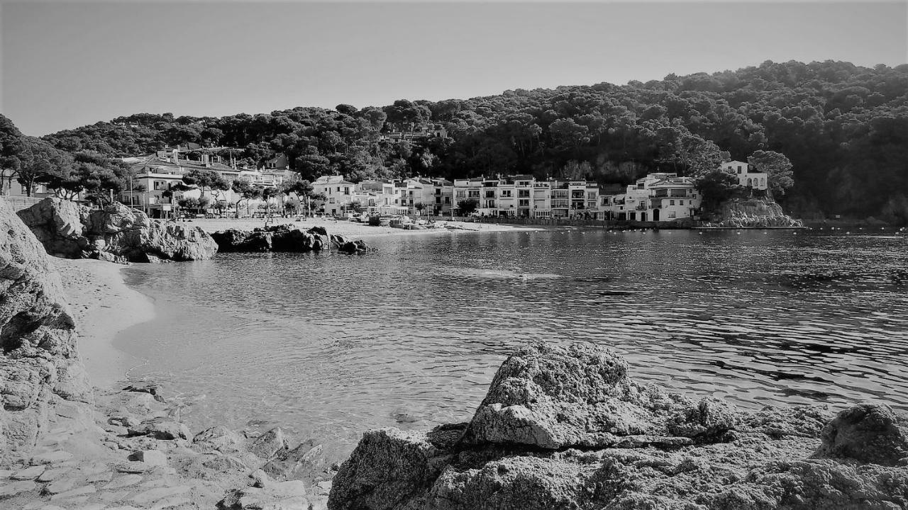 Ap Bosmar 3h - Preciosas Vistas * Pals