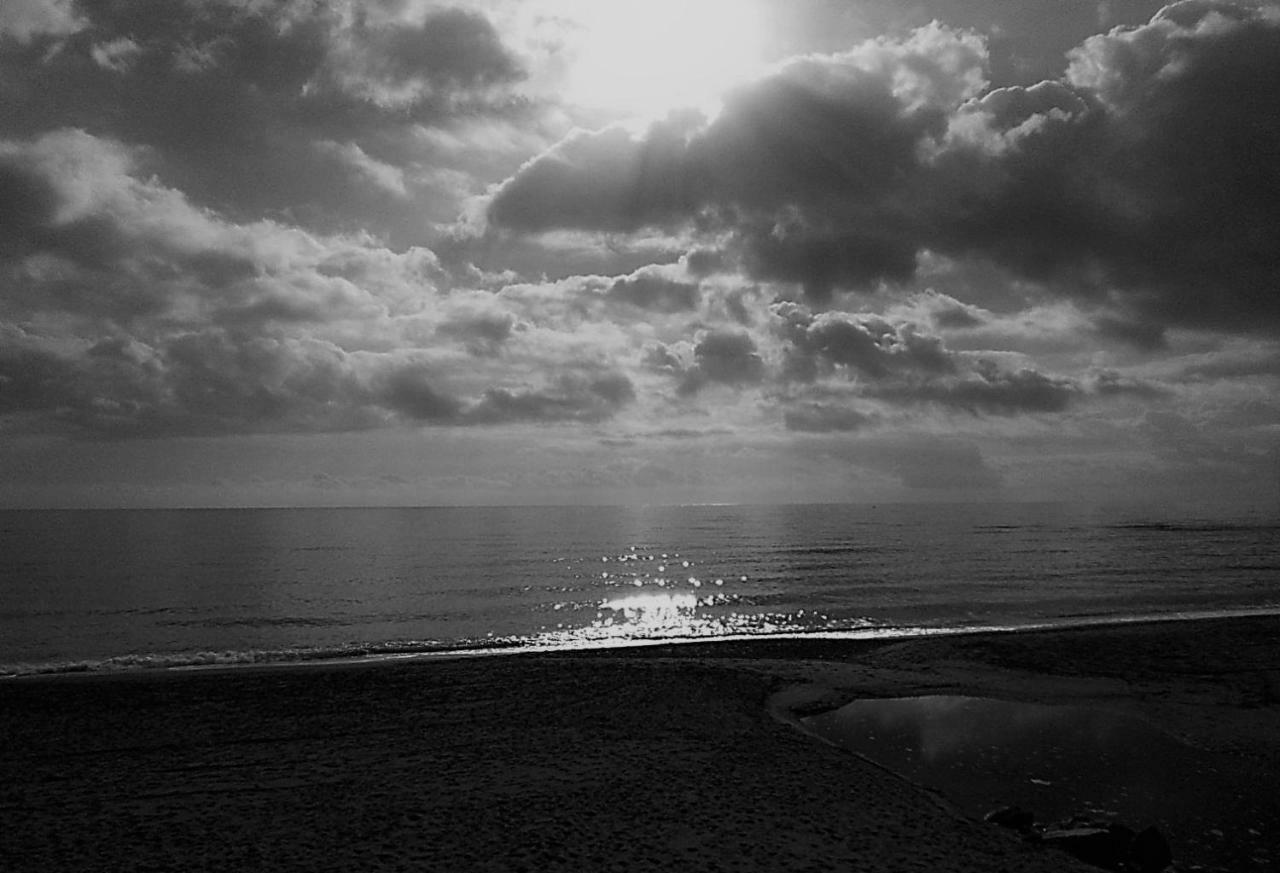 Ap Bosmar 3h - Preciosas Vistas *
