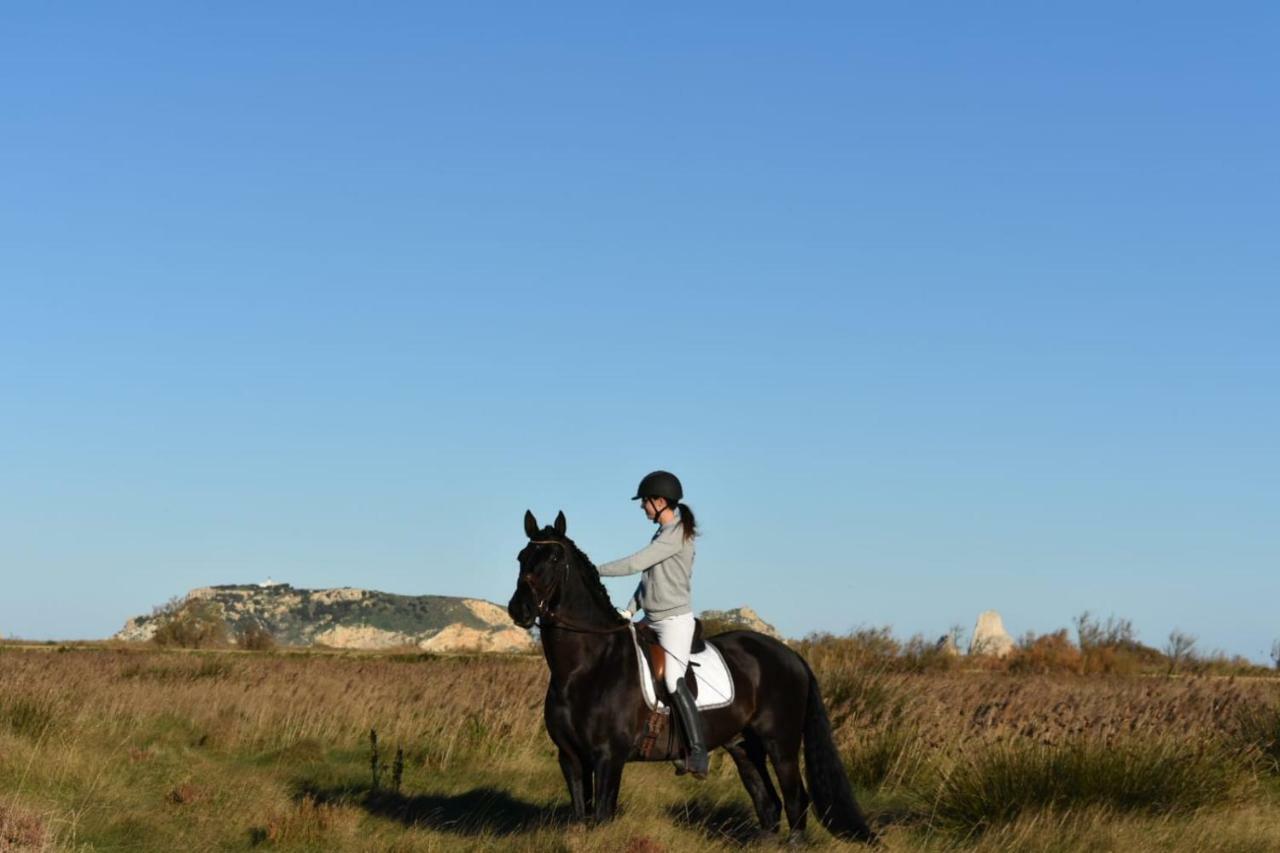 Hípica Mas Paguina Agroturismo