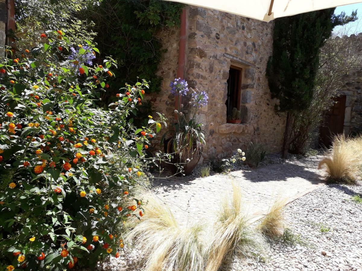 Carbó De Les Olives *