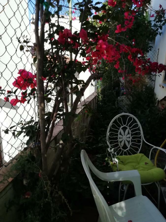 Pau Guest house *