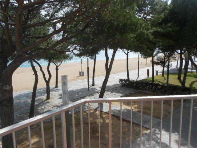 Alexandra A-1 * Platja d'Aro (Playa de Aro)