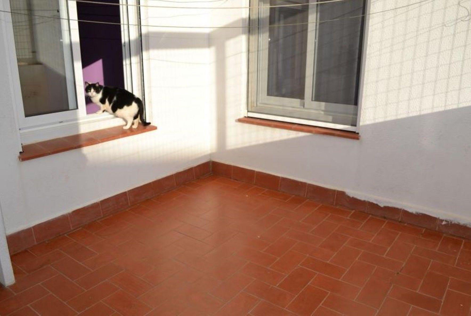 In - 103555 By Mo Apartment *