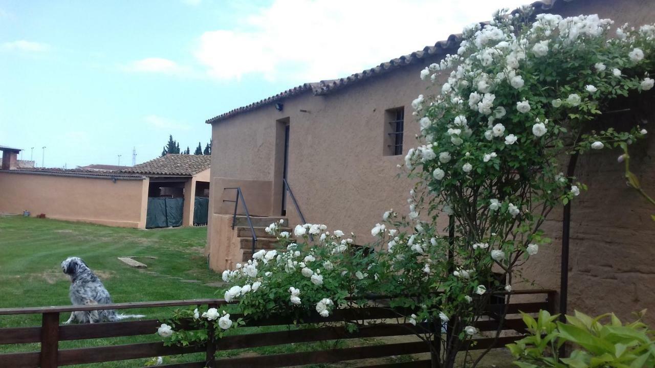 Mas De Les Canyes Vilamalla