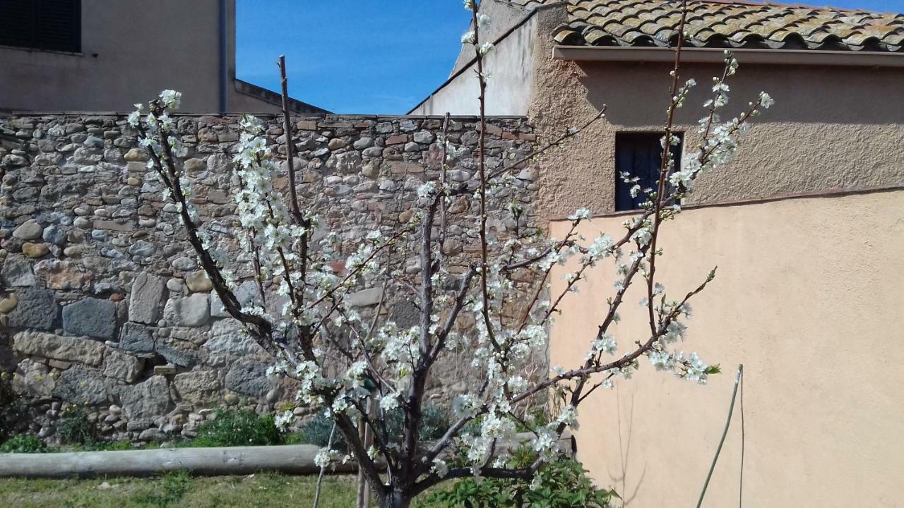 Mas De Les Canyes Casa rural