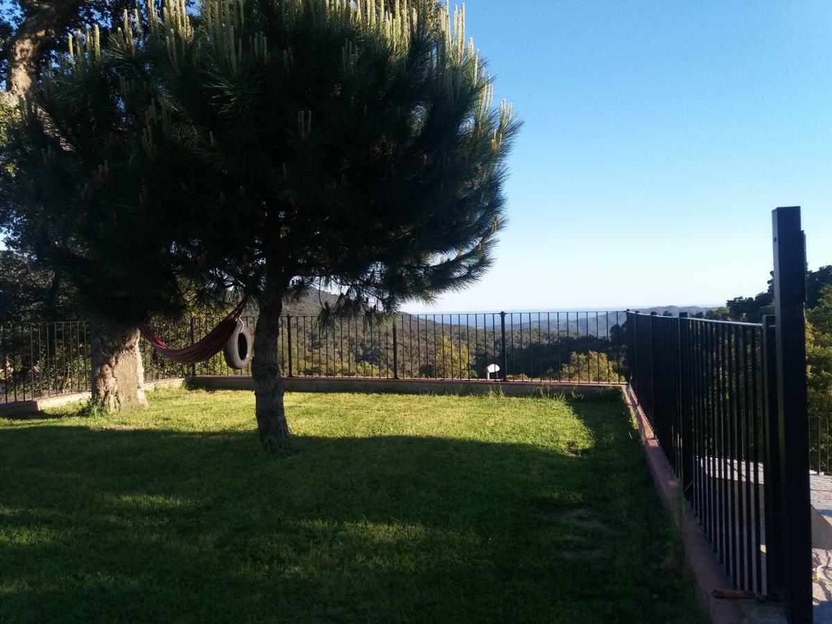 Cadiretes Llagostera