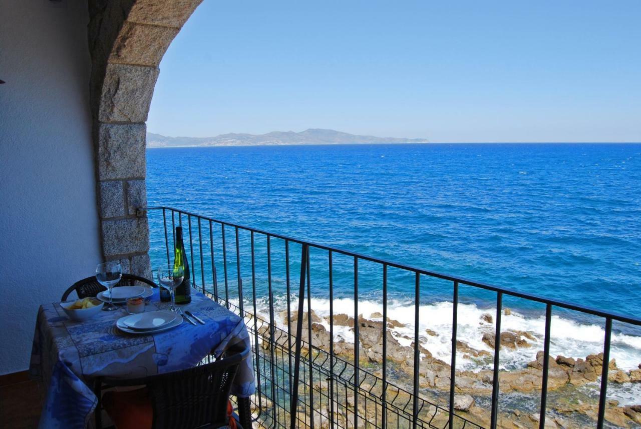 Albatros House