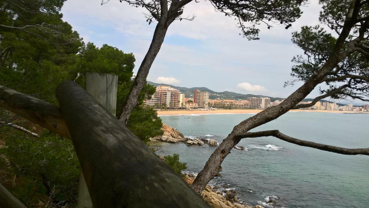 Apartamento Casa Triadors