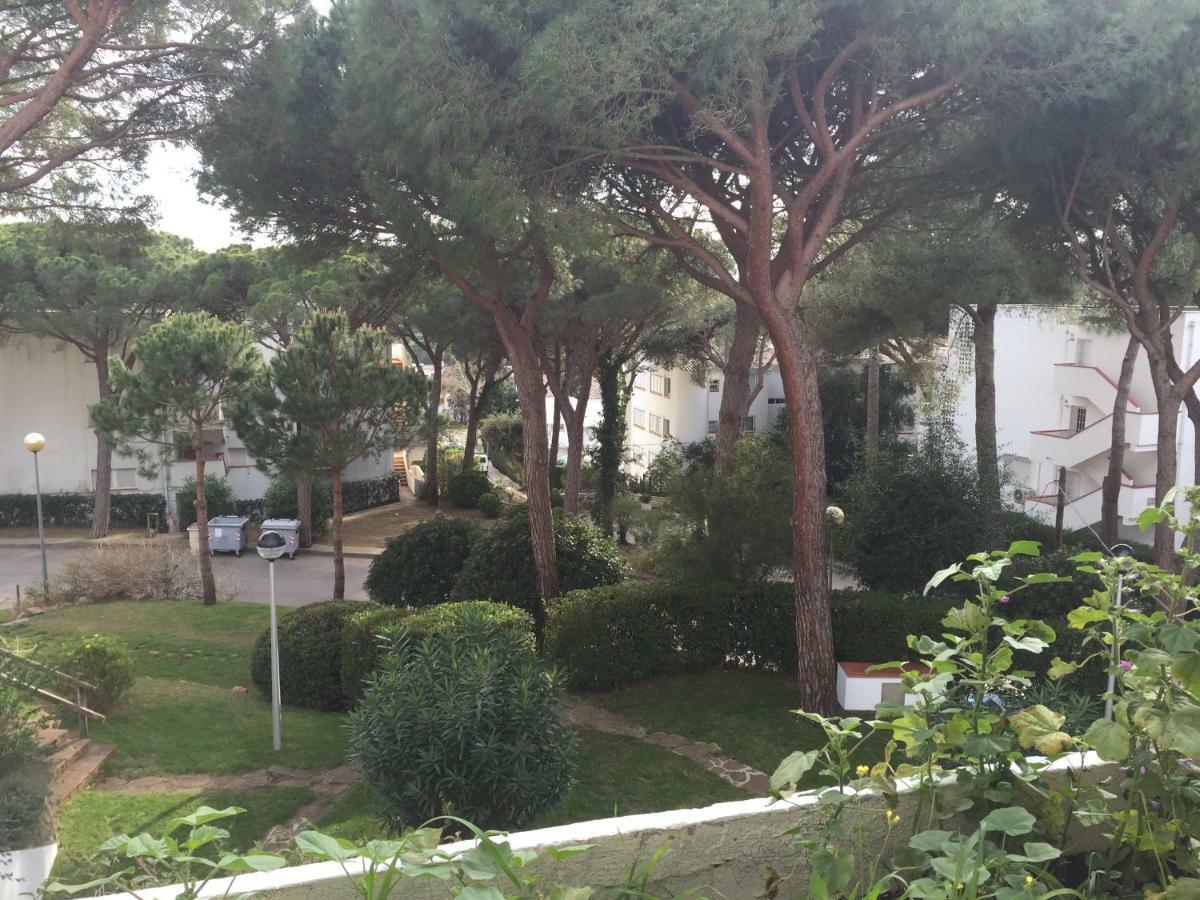 Politur Apartamento
