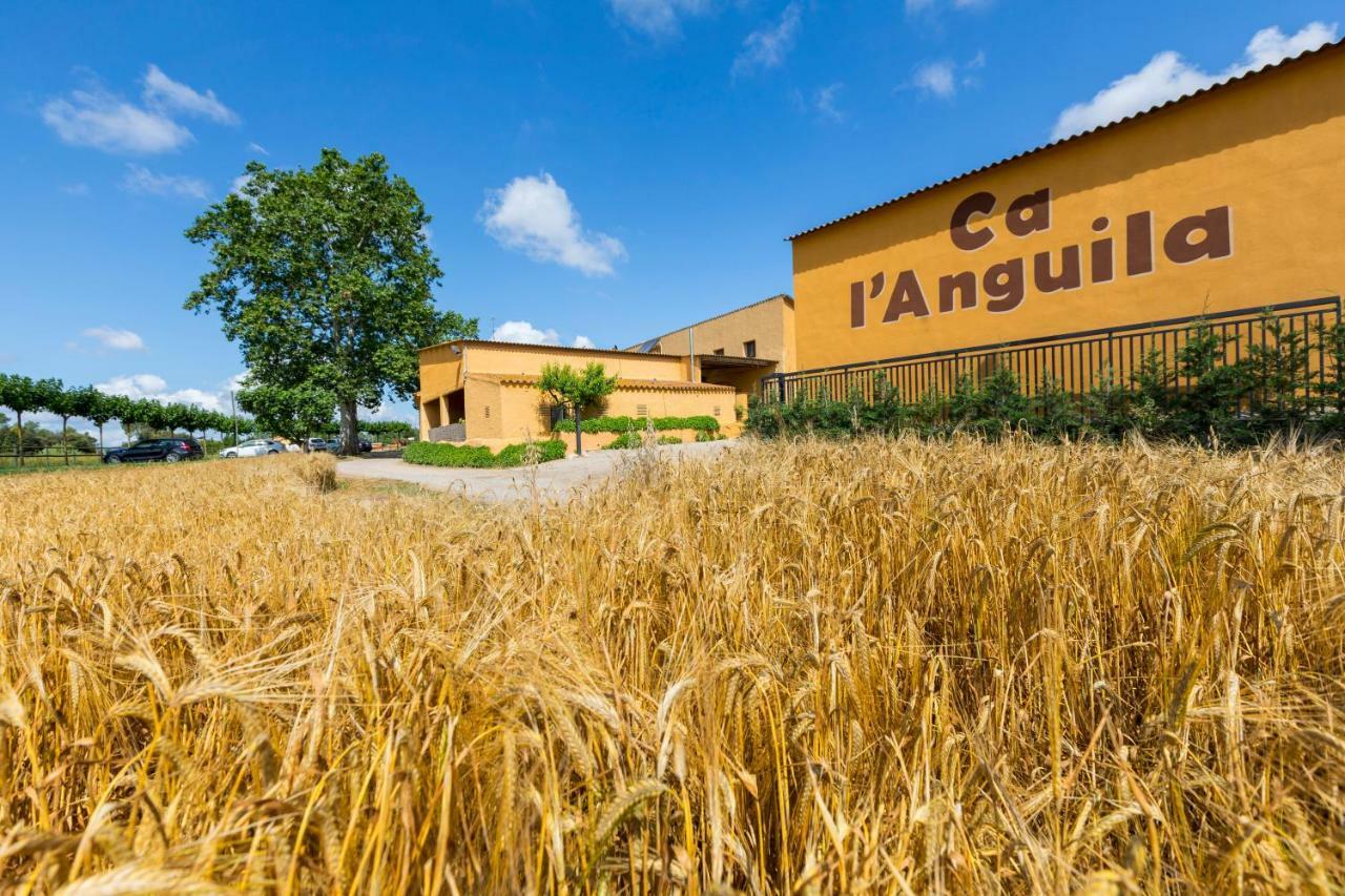 Casa rural Turisme Rural Ca L,anguila