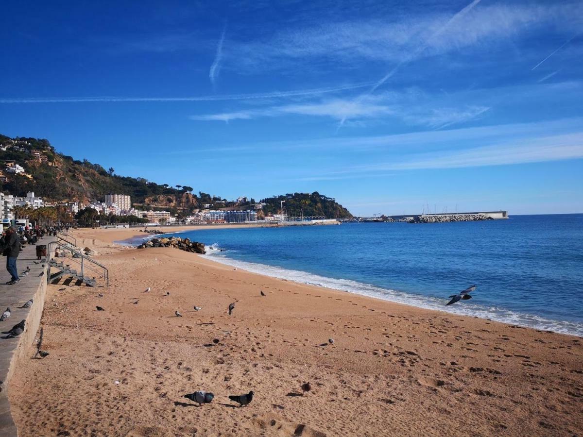 Fantástico En El Centro De Y A 150mts De La Playa Apartamento